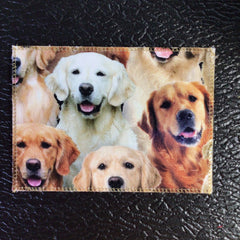 Golden Retrievers