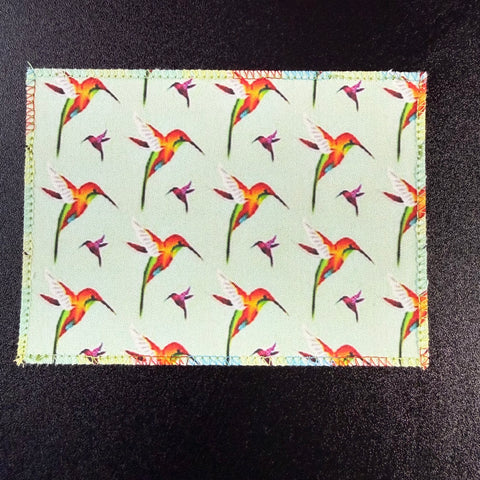 Hummingbird Rainbow Colors