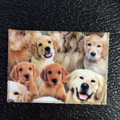 Golden Retrievers