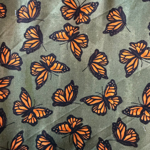 Monarch Butterflies on Olive