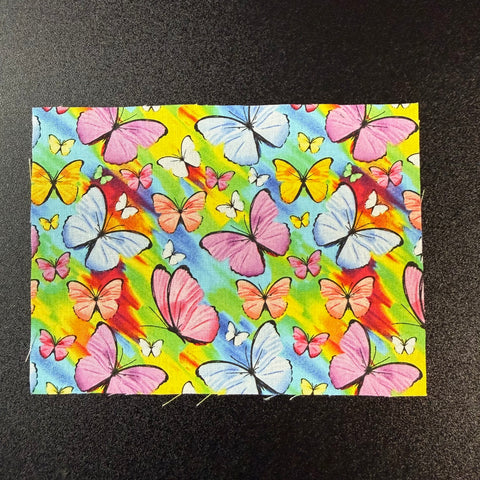 Butterflies in Spring