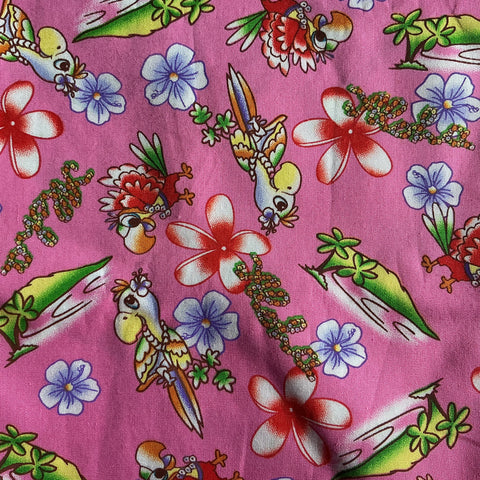 Colorful Parrot Birds