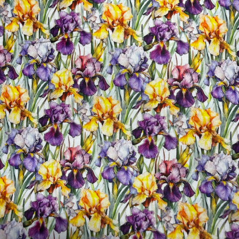 Iris Multi-Color