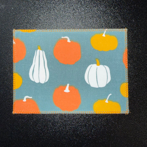 Pumpkin Gourds on Grey