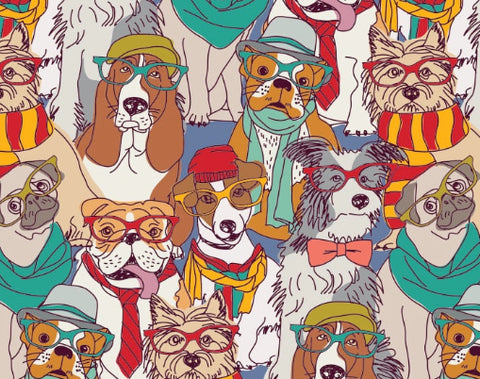 Basset Hound Hipsters