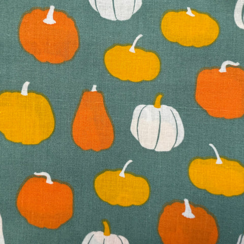 Pumpkin Gourds on Grey