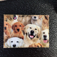 Golden Retrievers