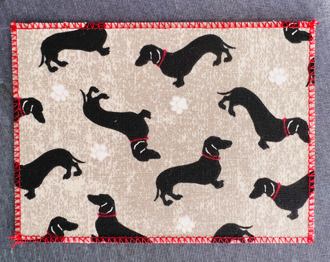 Weiner Dog Dachshund on Grey