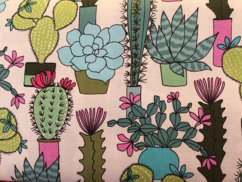 Colorful Succulents Cactus