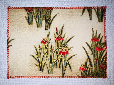 Red Iris on Creme