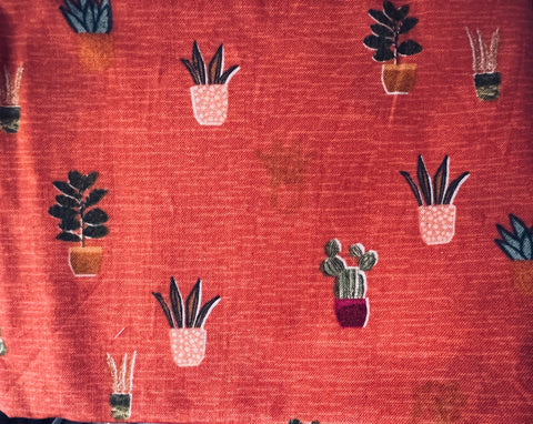 Cactus & Potted Plants