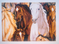 Wild Horses