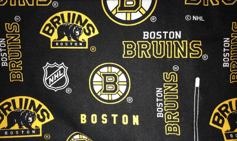 Boston Bruins Hockey