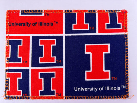 University of Illinois