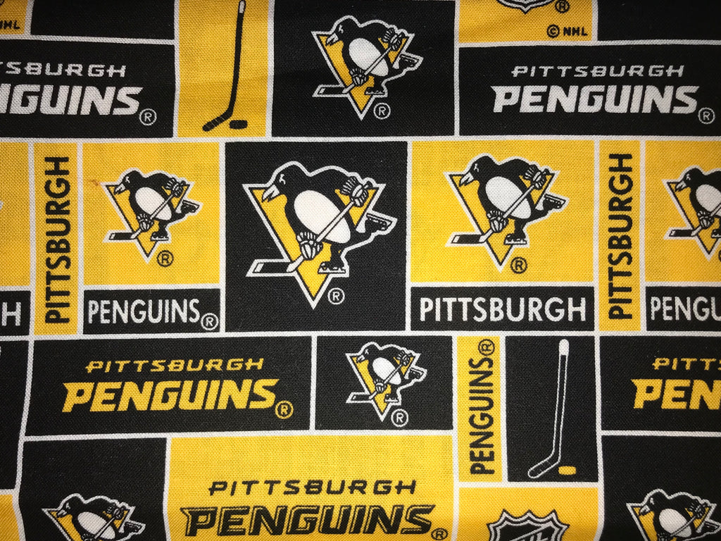 Pittsburgh Penguin Hockey
