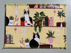 Cats on a Shelf