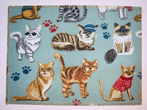 Cool Cats on Teal