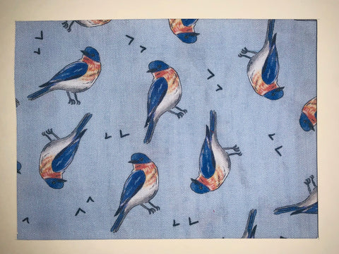 Blue Jay Birds
