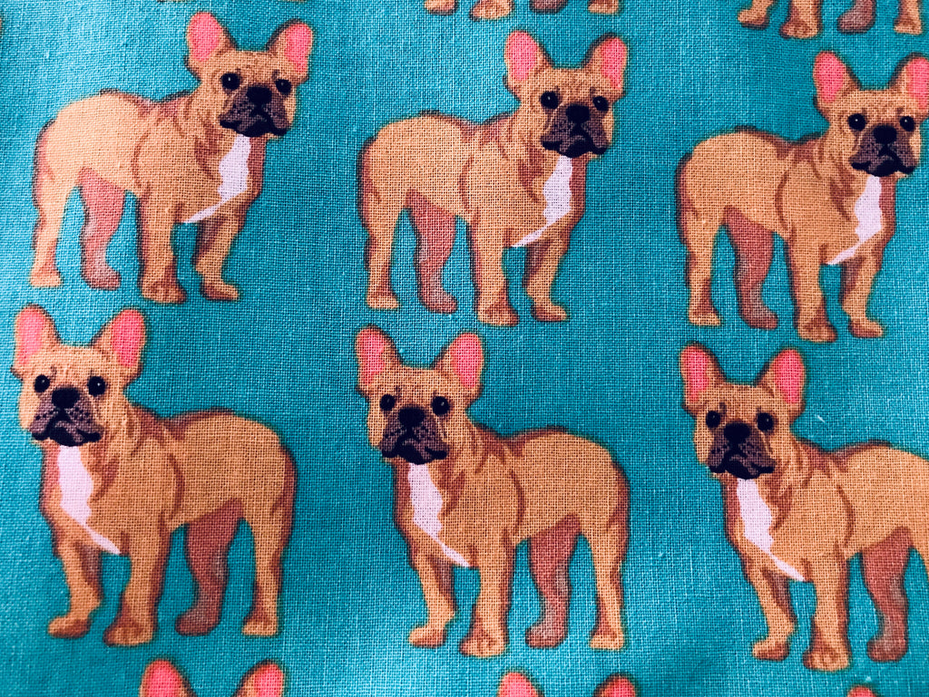 Teal French Bulldogs