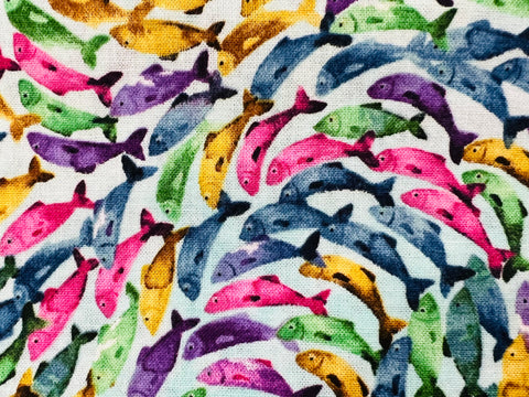 School of Fish Multicolor