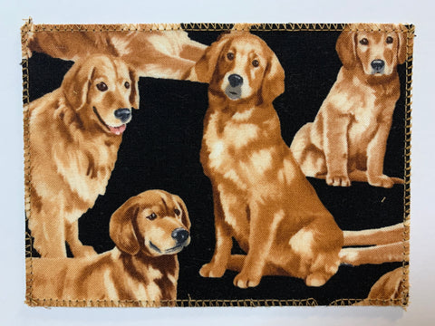 Golden Retrievers Dog
